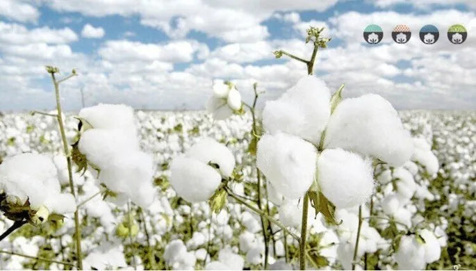 طقم ملابس أطفال جديد للربيع والخريف، مصنوع من القطن برسومات كرتونية، مناسب للأولاد والبنات من عمر 0 ​​إلى 3 سنوات.