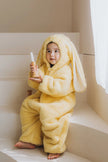 Baby Plush Rompers Winter Toddler Warm Polar Fleece Outfits Newborn Long Sleeve Bunny Ear Hooded Zipper Closure Jumpsuits