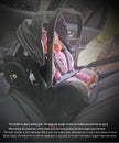 2025 New Baby Stroller 4in1 Multifunctional Newborn Baby Stroller 3in1 Foldable Basket Type Seat Lightweight Travel Pram