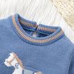 Baby Rompers Blue Long Sleeve Knit Newborn Boys Jumpsuits Playsuits Autumn Winter Infant Unisex Outfits One Pieces Kids Costumes