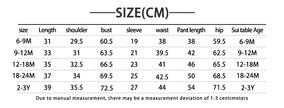 Two Piece Casual Autumn Infant Set Boys and Girls Casual Long Sleeve Top+Loose Pants Newborn Baby Clothing Set
